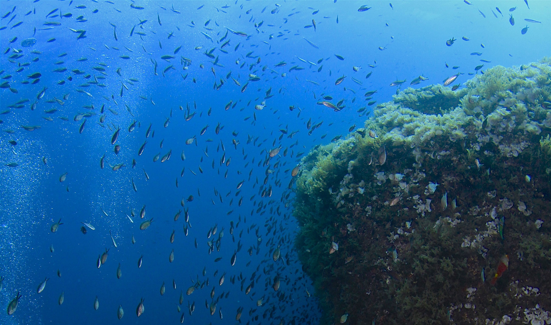 reef offshore St. Pauls Islands