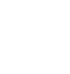 SSI logo