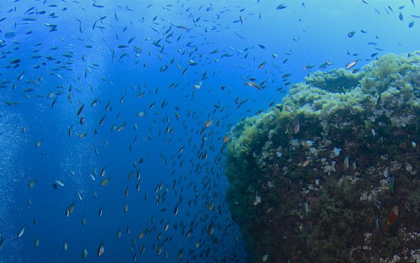 reef offshore St. Pauls Islands