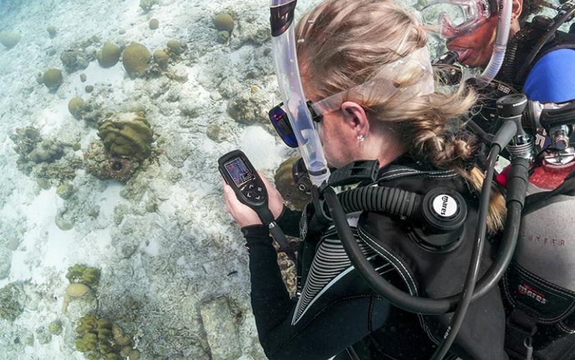 Navigation course, student is using compass underwater