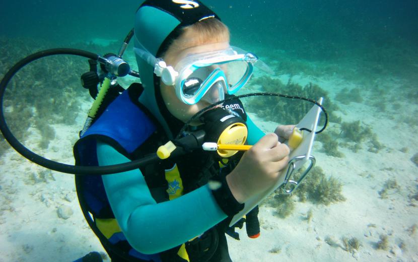 Child diver during PADI Bubblemaker