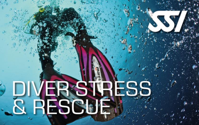 SSI stress and rescue card