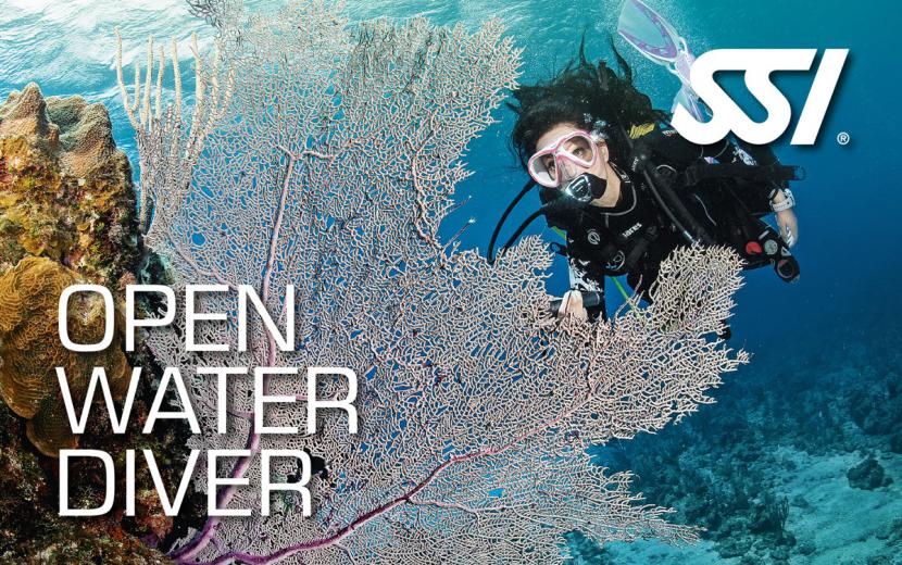 SSI Open water course cover - diver under the water