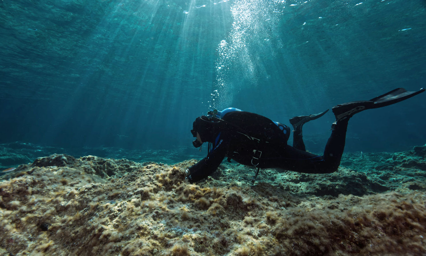 diver in sunbeams