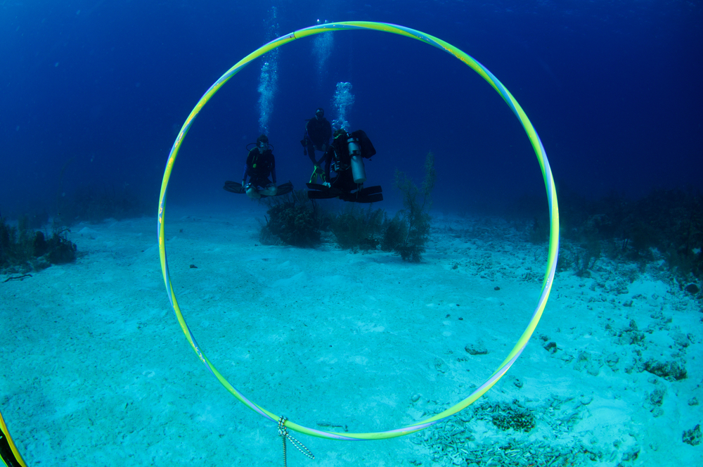 Peak Performance buoyancy course: diver hovering weightlessly